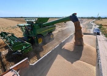 Summer Grain Yield Dips, But Still ‘bumper Harvest’