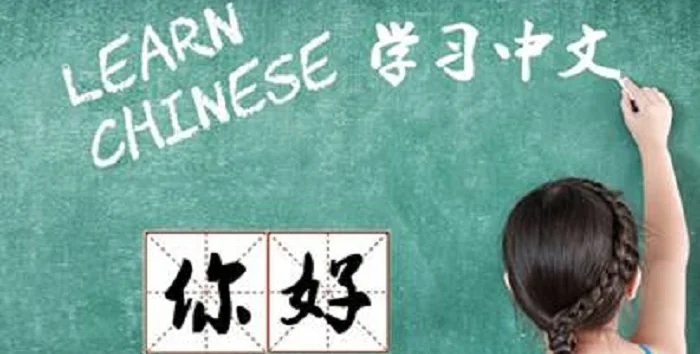 Chinese Language Recommendation, 2024 Spring Intake